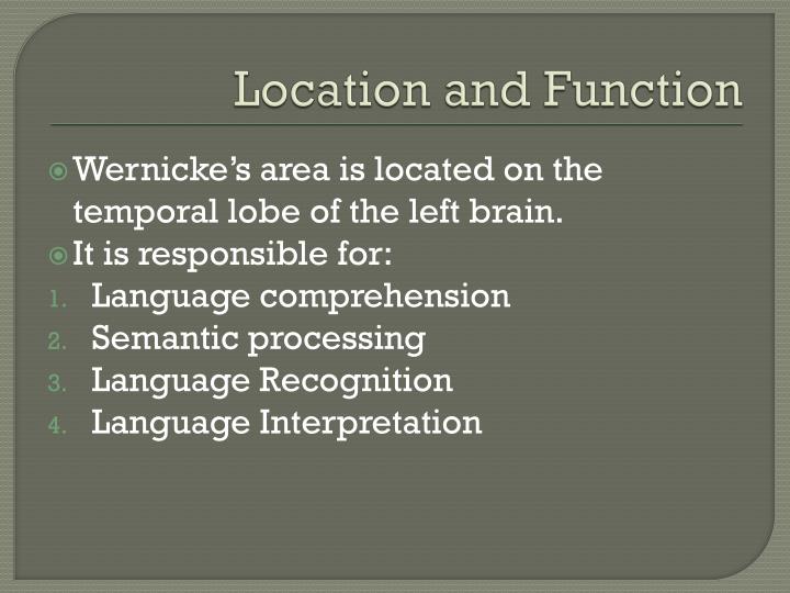 PPT - Carl Wernicke’s Aphasia Case Study PowerPoint Presentation - ID ...