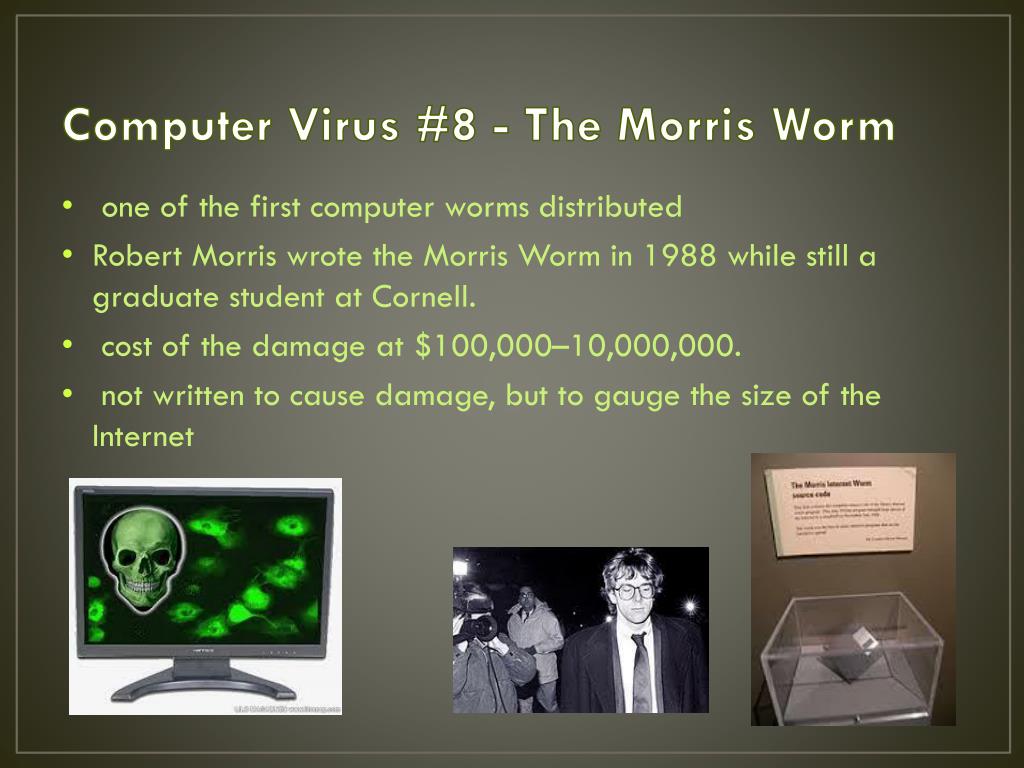 PPT - Top Ten Computer Viruses (to look out for) PowerPoint Presentation - ID:2386376