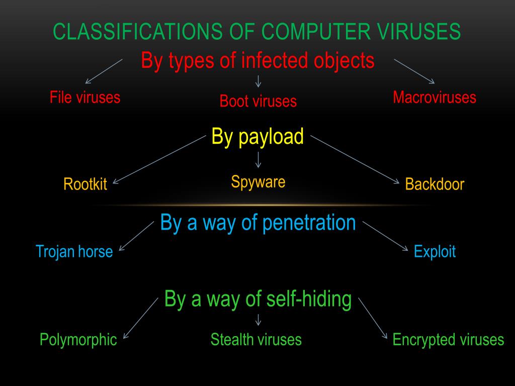 different types of computer virus presentation