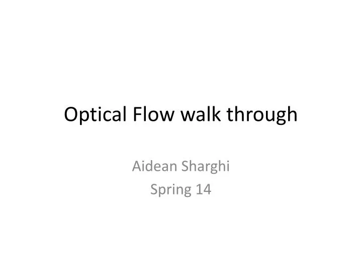 optical flow walk through n.