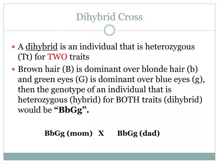 Ppt Dihybrid Cross Powerpoint Presentation Free Download Id