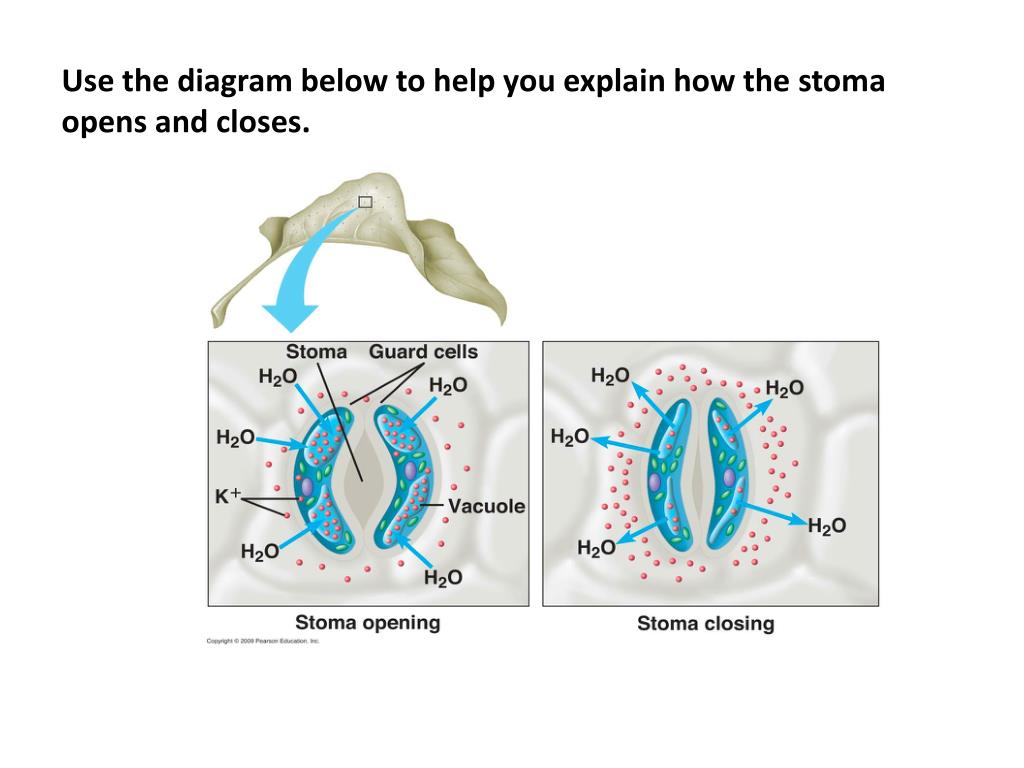 best place to write blog about stoma best place to write blog about stoma