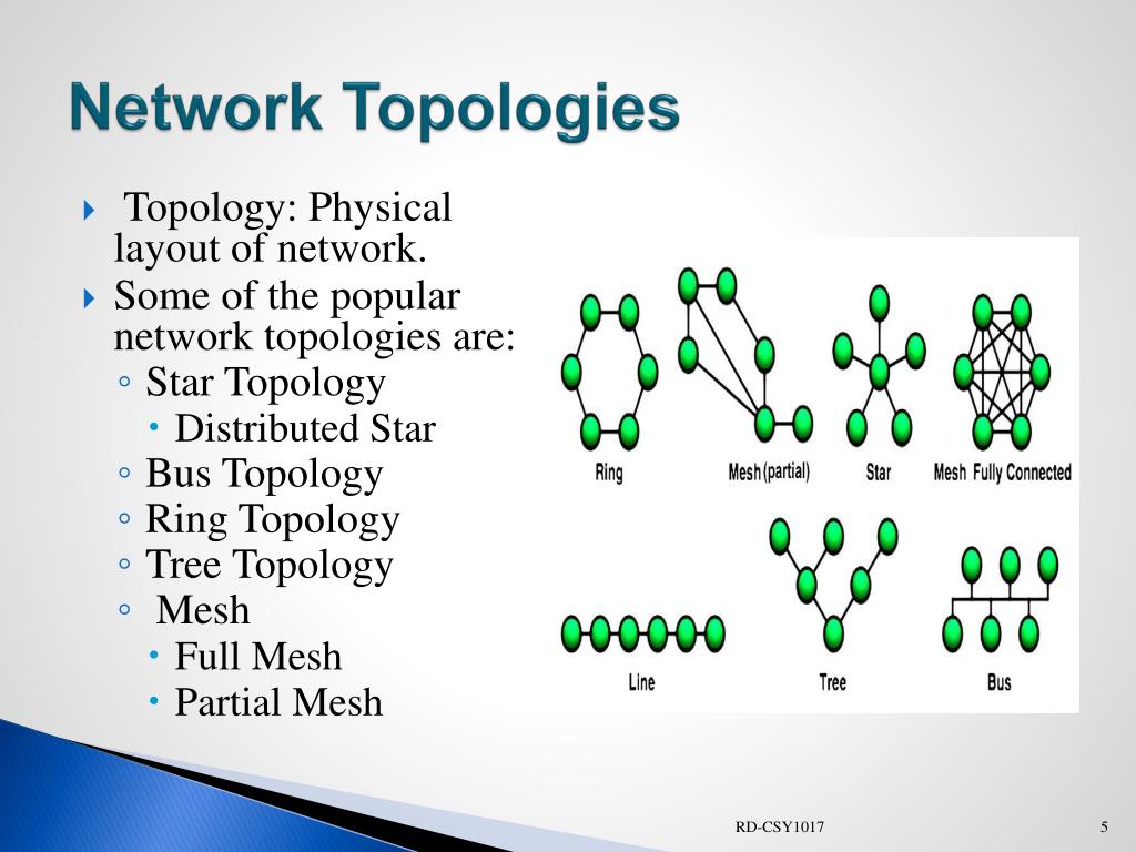 PPT - Network Topology PowerPoint Presentation, free download - ID:2391197