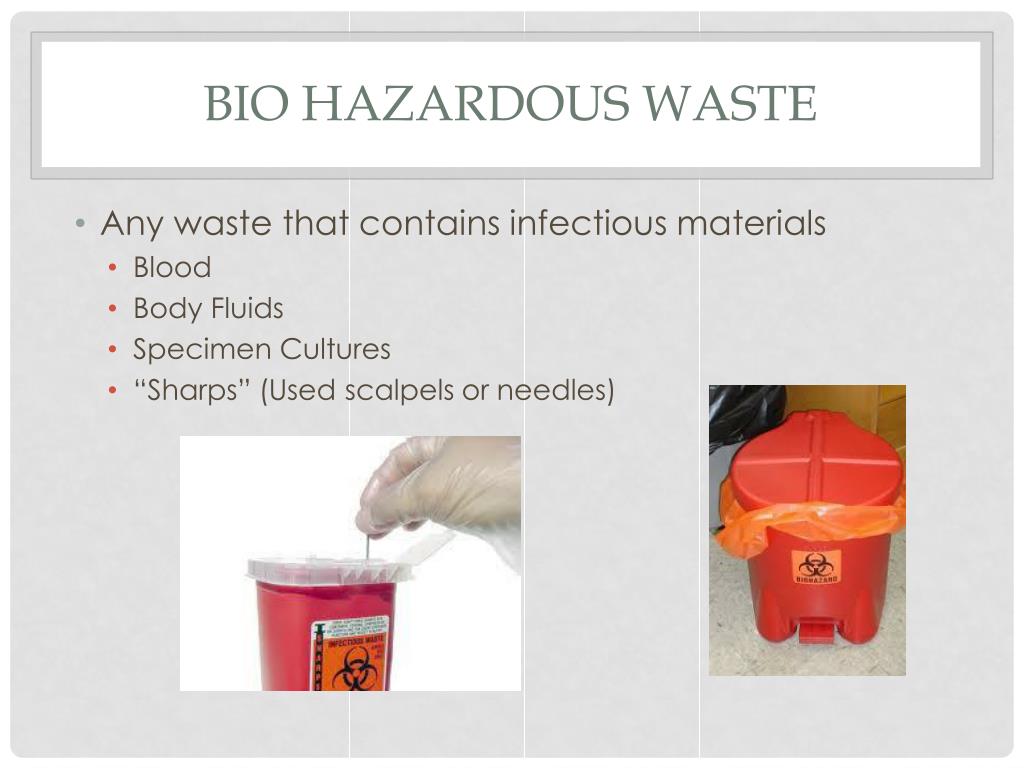 PPT Safety and Sanitation in the Vet Clinic PowerPoint Presentation