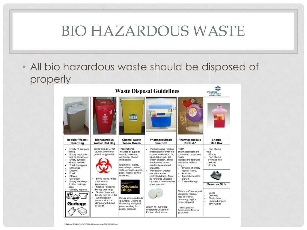 PPT Safety and Sanitation in the Vet Clinic PowerPoint Presentation