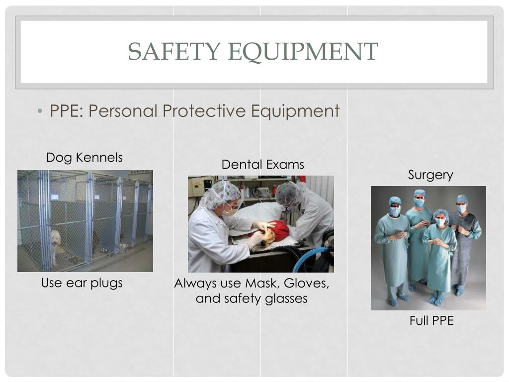 PPT Safety and Sanitation in the Vet Clinic PowerPoint Presentation