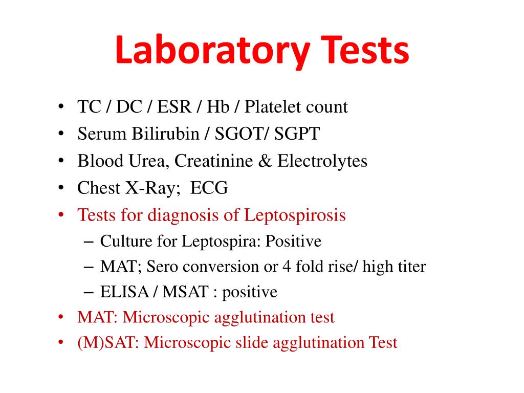 daignosis of leptospiraको लागि तस्बिर परिणाम