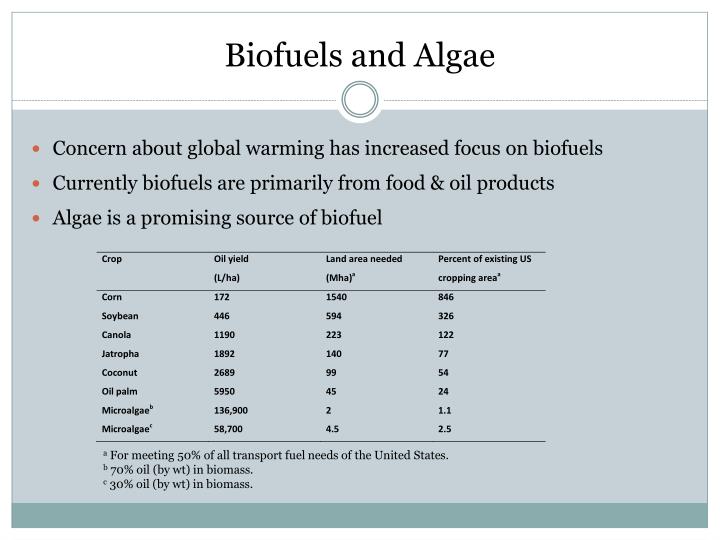 PPT - Algae as a Biofuel PowerPoint Presentation - ID:2392712