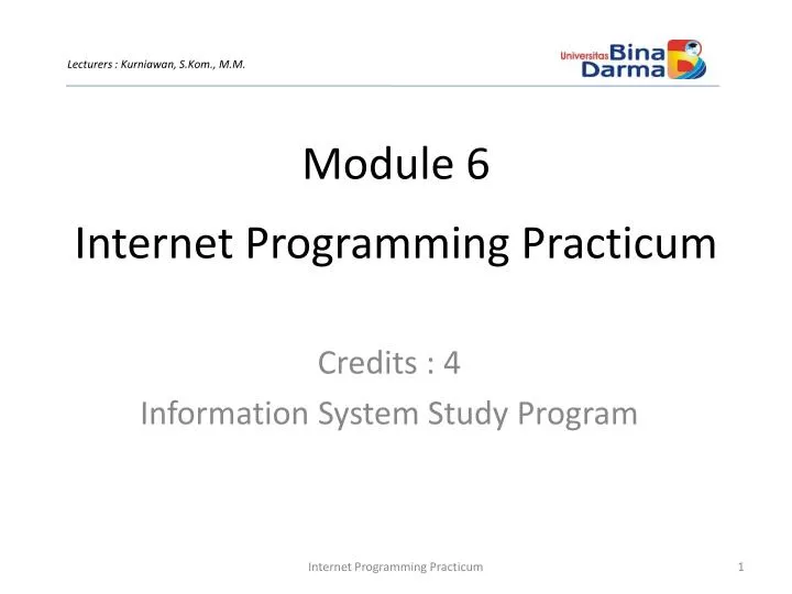 PPT - Internet Programming Practicum PowerPoint Presentation, free ...