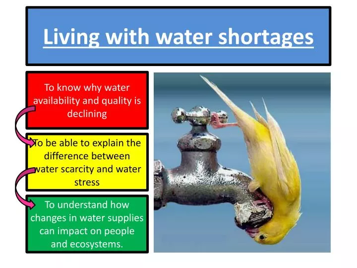 essay on causes of water shortages