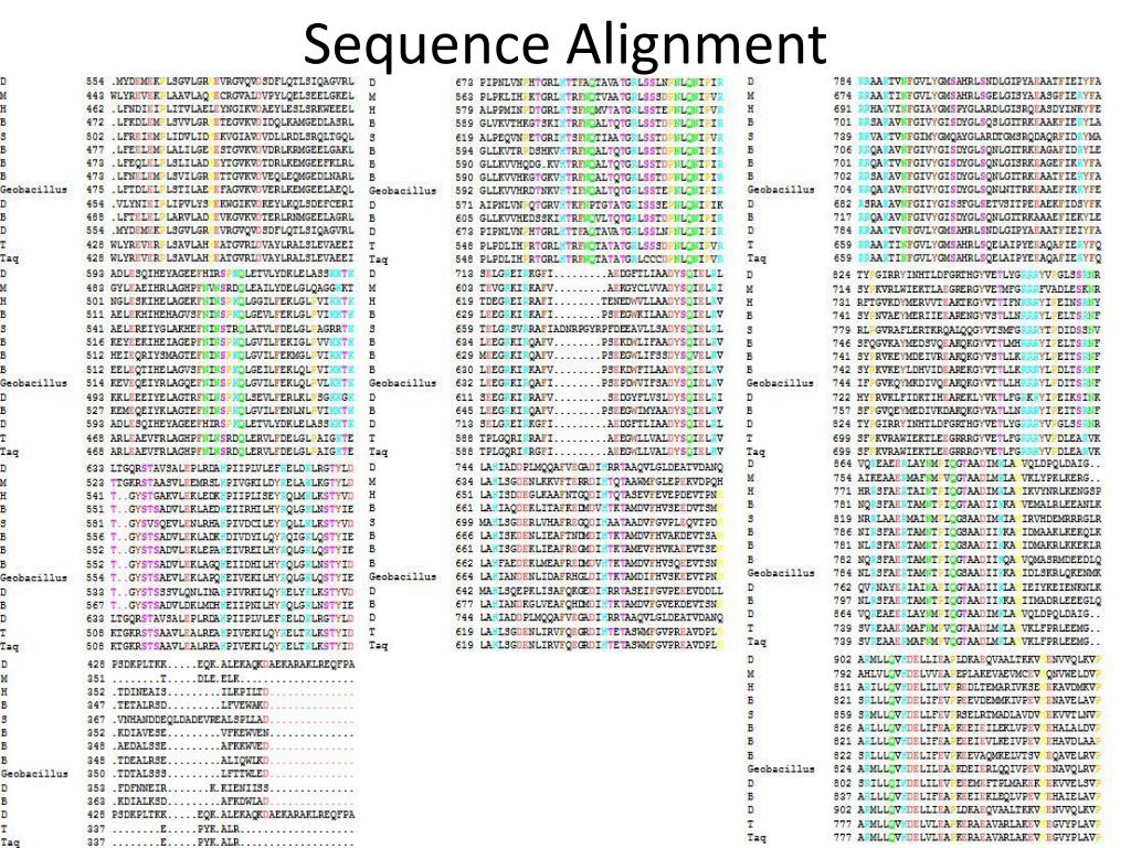 PPT - T hermus AQ uaticus DNA polymerase PowerPoint Presentation, free ...