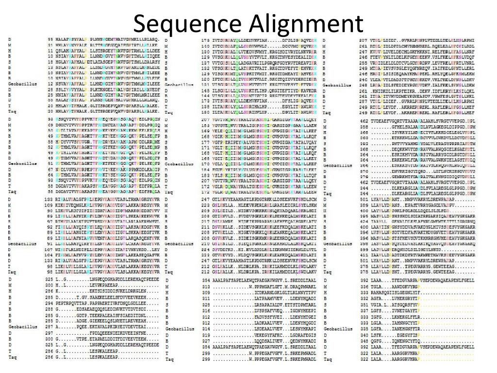 PPT - T hermus AQ uaticus DNA polymerase PowerPoint Presentation, free ...