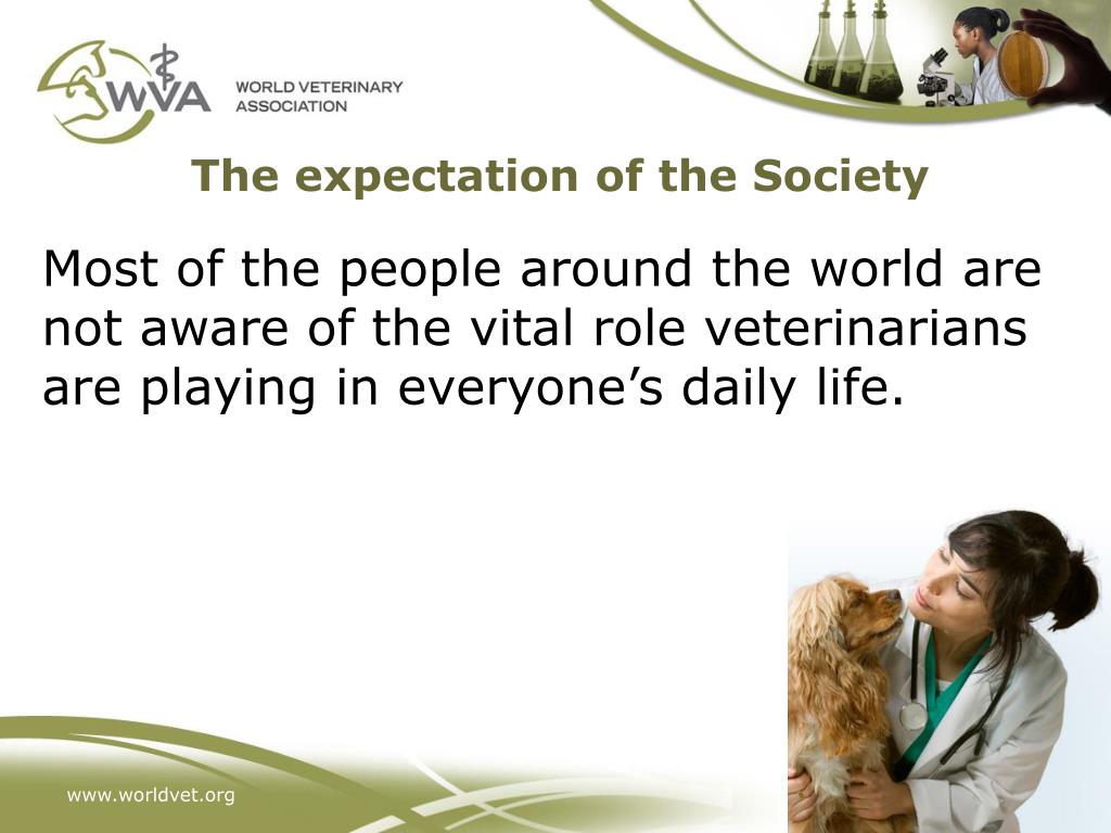 PPT OIE Global Conference on Veterinary Education and the Role of VSB