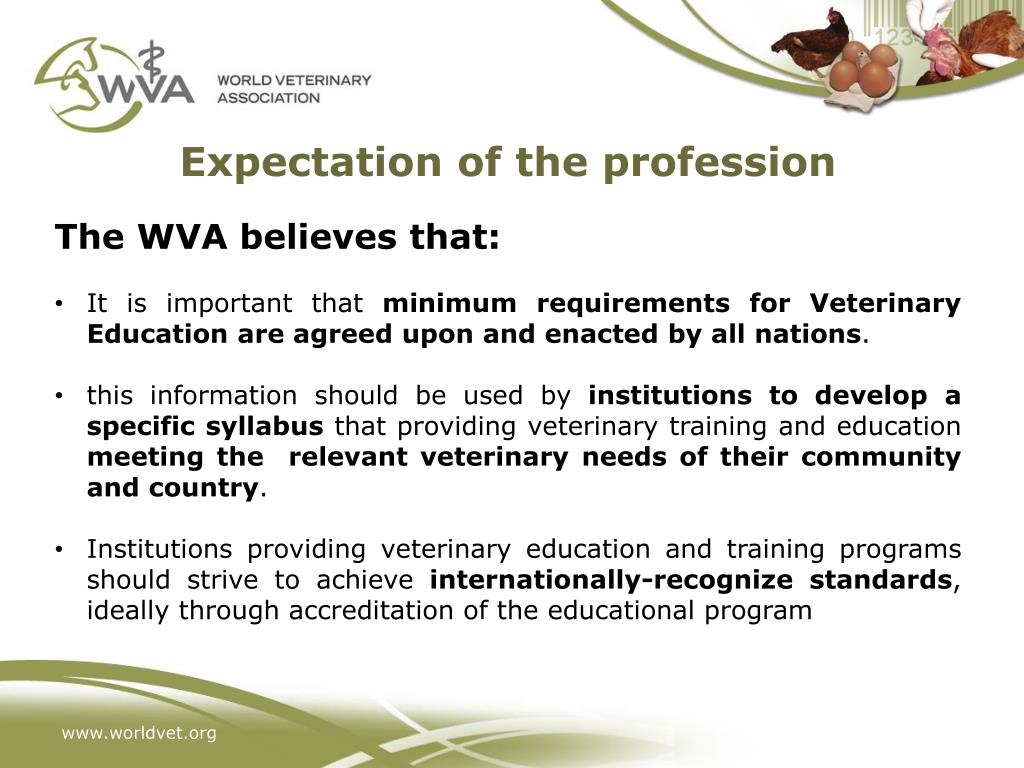 PPT OIE Global Conference on Veterinary Education and the Role of VSB