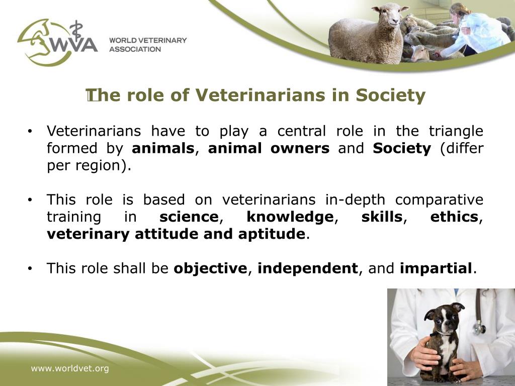 PPT OIE Global Conference on Veterinary Education and the Role of VSB