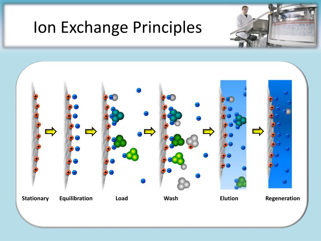 Ion exchange separation principle investing nubank publique