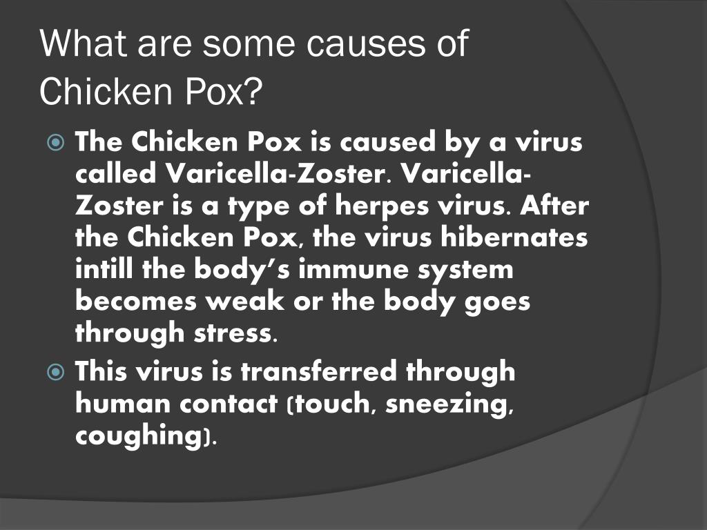 PPT - Chicken Pox PowerPoint Presentation, free download - ID:2395252