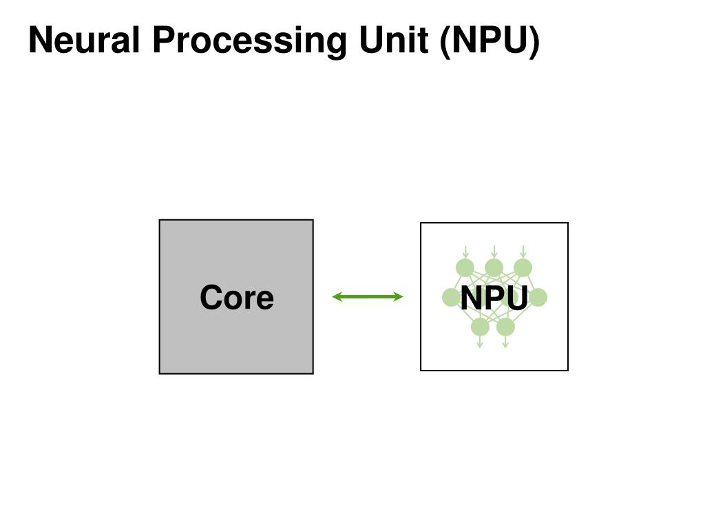 Processing and neural Processing and neural