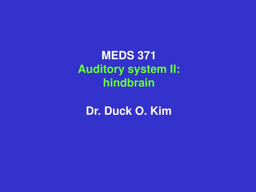 PPT - MEDS 371 Auditory system II: hindbrain PowerPoint Presentation