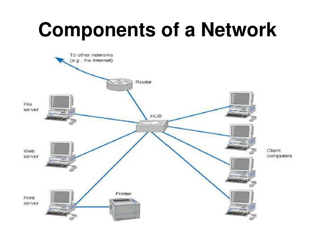 Using a computer network spotlight 8 – Telegraph