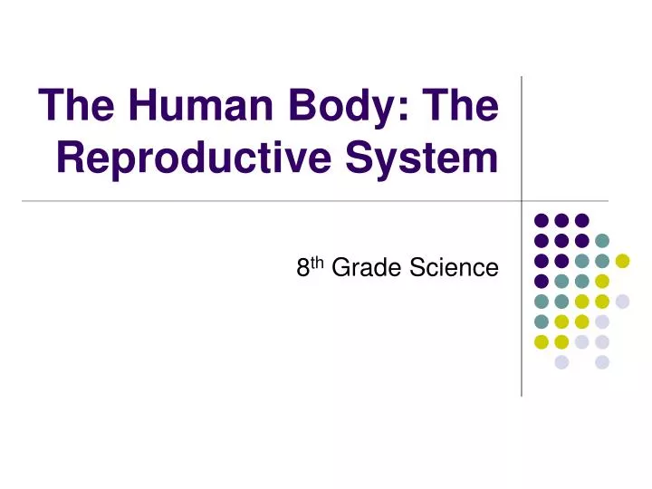 Ppt The Human Body The Reproductive System Powerpoint Presentation Free Download Id2398511 