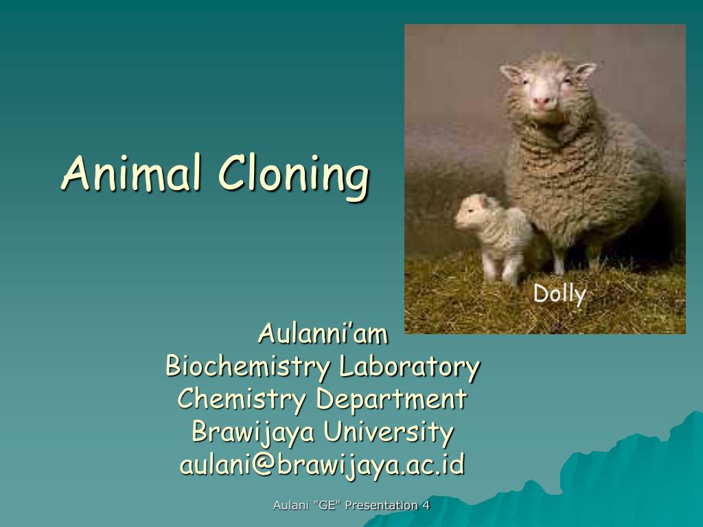 research on cloning animals