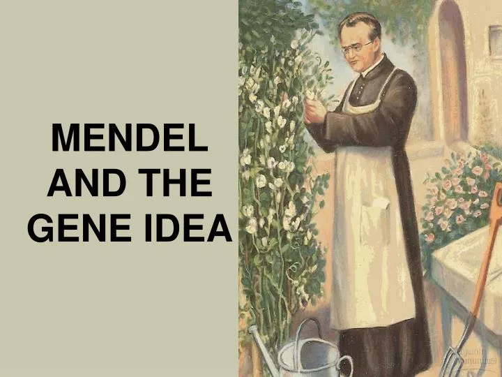 PPT - MENDEL AND THE GENE IDEA PowerPoint Presentation, free download ...