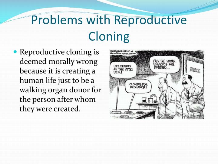 human cloning pros and cons essay human cloning pros and cons essay