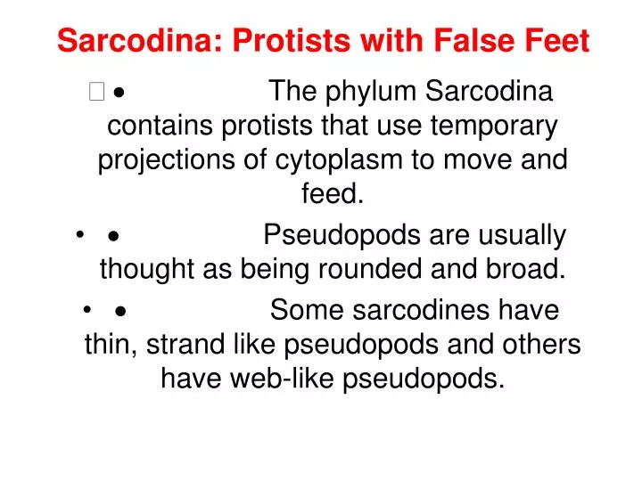 PPT Sarcodina Protists with False Feet PowerPoint Presentation, free download ID2401128