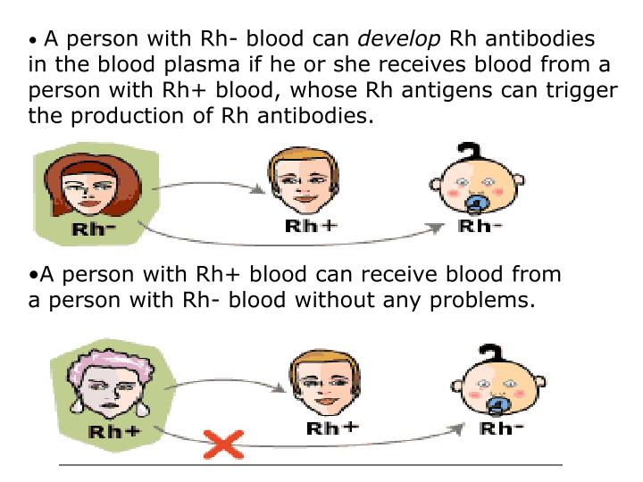 PPT of ABO Blood groups and Rhesus factor PowerPoint