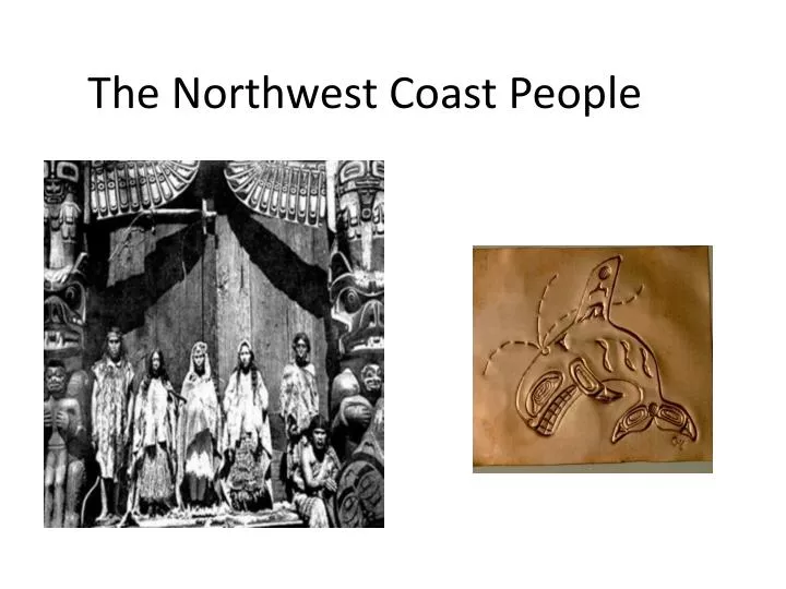 the northwest coast people n.
