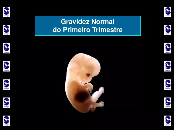 A Talidomida Quando Usada Por Gestantes No Primeiro Trimestre
