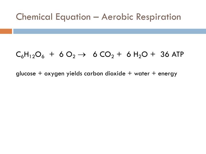 Write Down The Chemical Equation For Aerobic Respiration Tessshebaylo