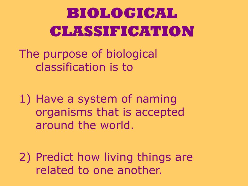 theories of biological classification