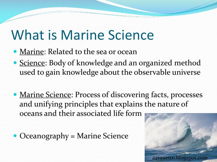 PPT Introduction to Marine Science PowerPoint Presentation ID2405889