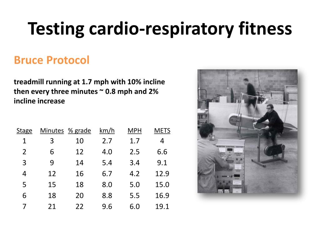 PPT - Assessing Fitness Cardiorespiratory Fitness PowerPoint ...