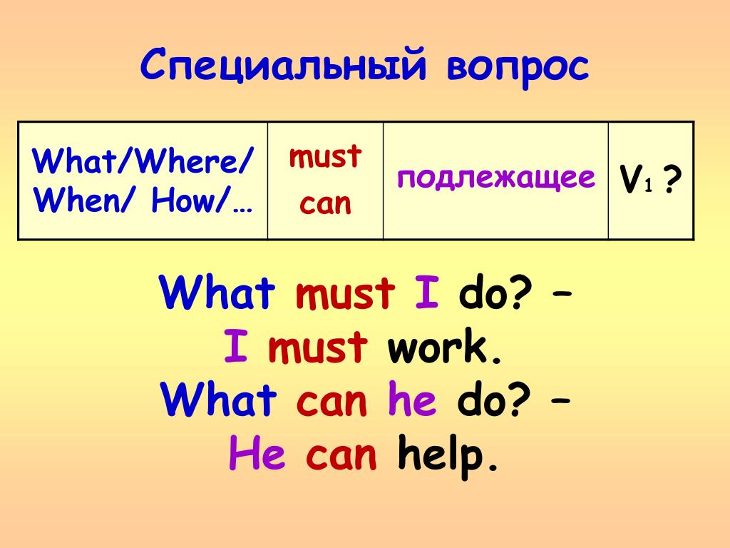 Specific question. Вопросы с must. Специальный вопрос с must. Вопросы Special questions. Специальный вопрос what.