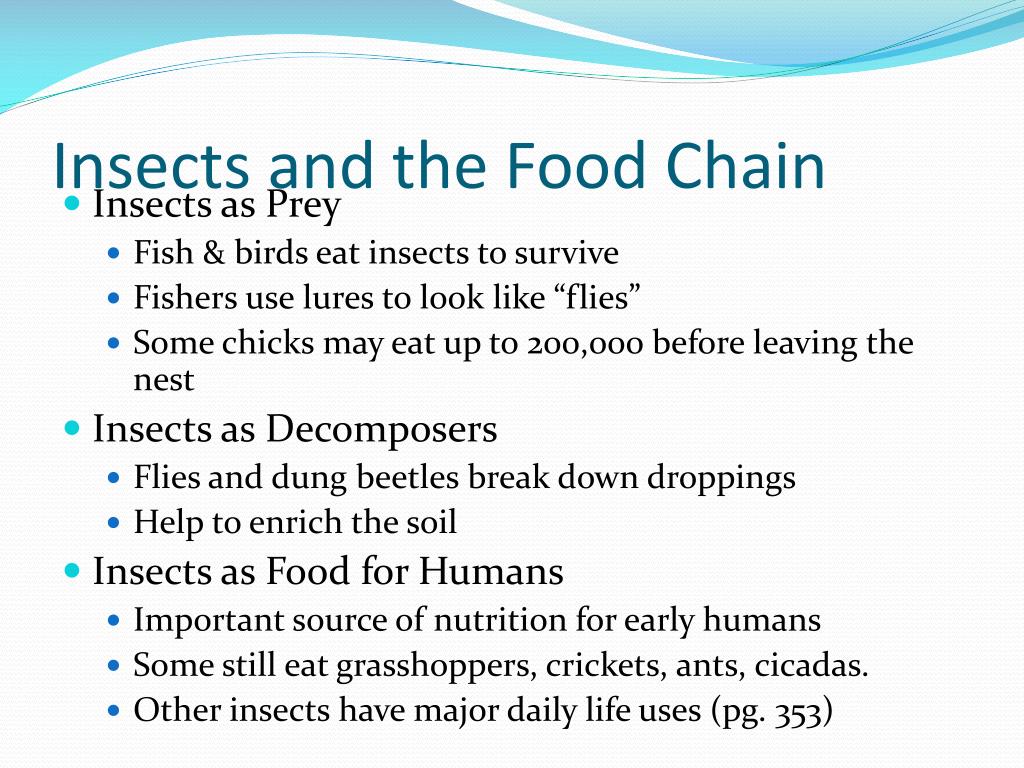 INSECT ECOLOGY PowerPoint Presentation, free download Biology Diagrams