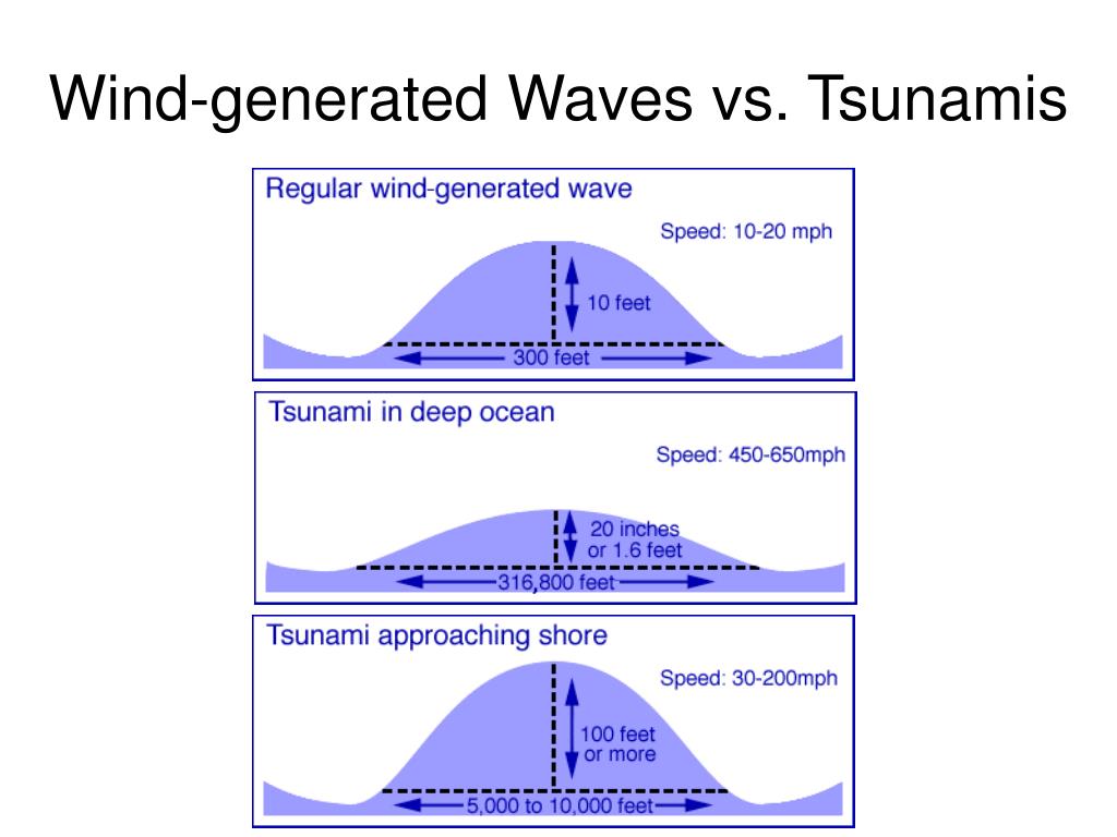 tidal wave vs tsunami vs typhoon tidal wave vs tsunami vs typhoon