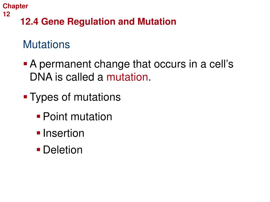 Http Arabiamtnhs Dekalb K12 Ga Us Downloads Gene 20mutations 20powerpoint Pdf