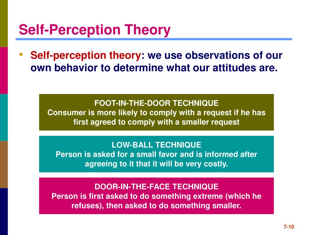 self perception theory essay