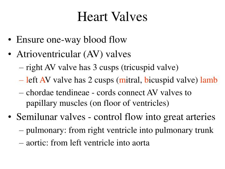 PPT Chapter 19 The Heart PowerPoint Presentation ID2409765