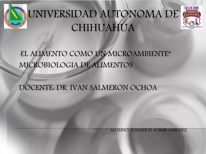 universidad autonoma de chihuahua n.
