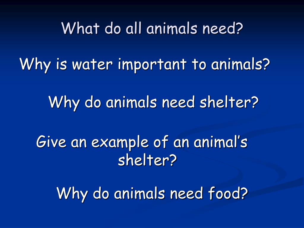 PPT - Animals PowerPoint Presentation, free download - ID:2410812