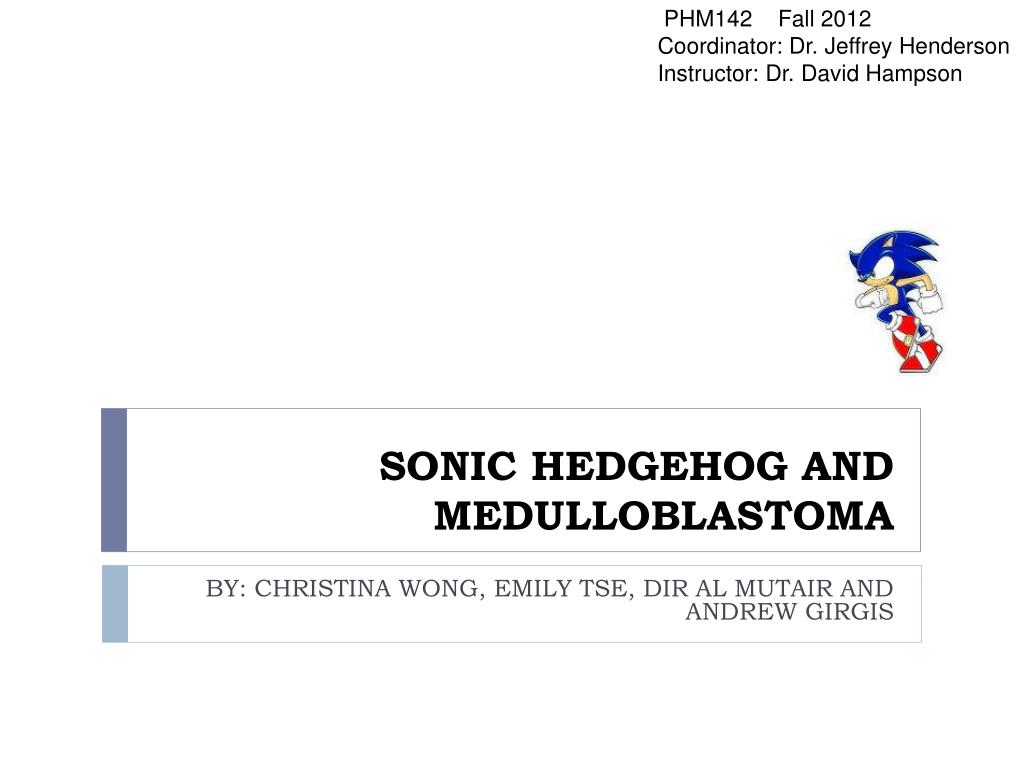 Hedgehogs Can't Swim: Sonic the Hedgehog (IDW): Issue 9