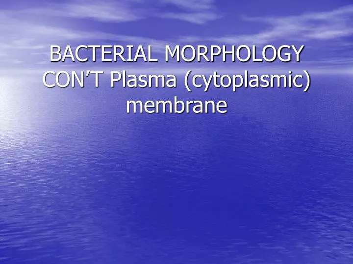 PPT - BACTERIAL MORPHOLOGY CONâ€™T Plasma (cytoplasmic) membrane