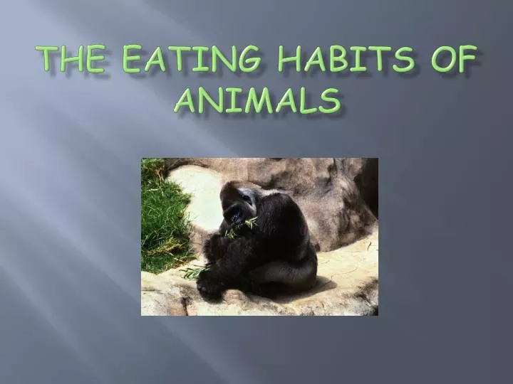 PPT - The Eating Habits of Animals PowerPoint Presentation, free download - ID:2411180 PPT - The Eating Habits of Animals PowerPoint Presentation, free download - ID:2411180