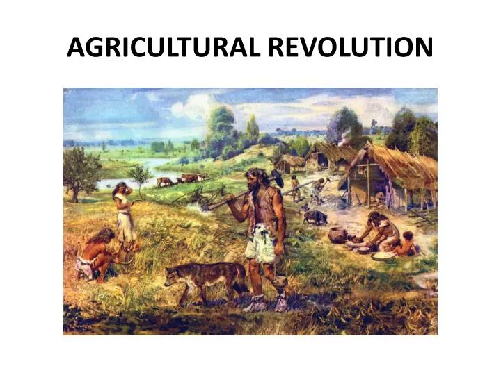 agricultural revolution n.