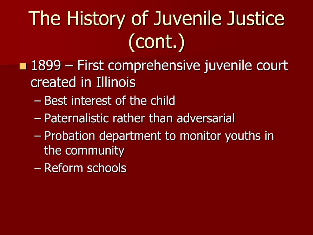 history of juvenile justice essay