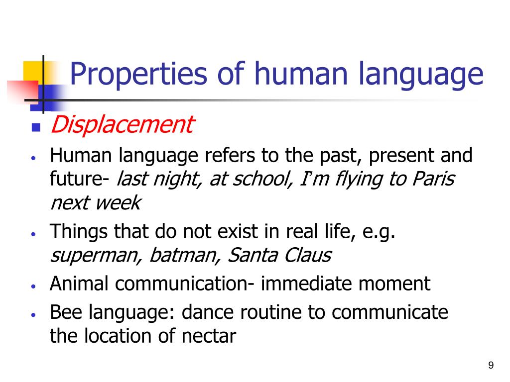PPT - Animal & Human Language PowerPoint Presentation, free download -  ID:2412834